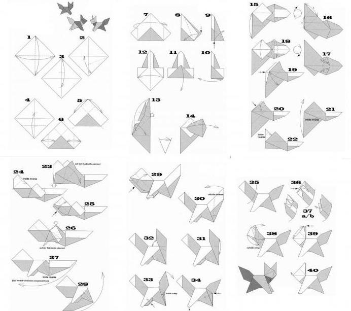 Fox-Origami: Meisterklasse bei der Montage